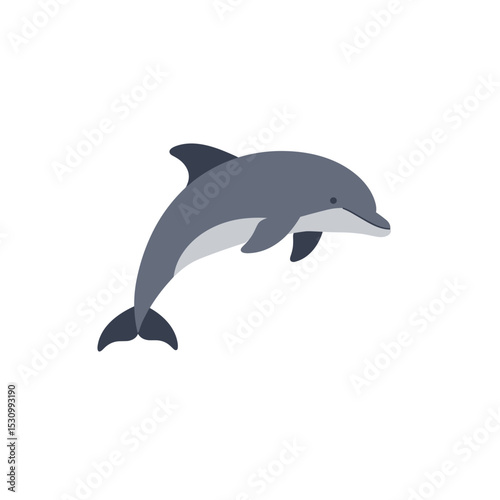 Stylized gray dolphin leaping upward against a stark white background in a flat, modern design
