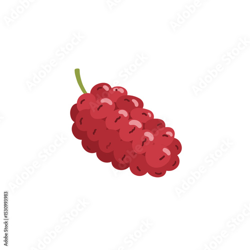Illustration of a juicy, ripe dark red mulberry fruit with a green stem