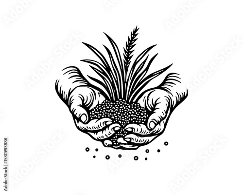 woodcut linocut engraving black ink print style illustration of farmers hands holding wheat grain seed on harvest time	
