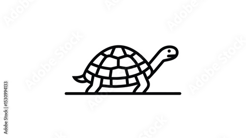Line Art Tortoise: Simple Tortoise Illustration