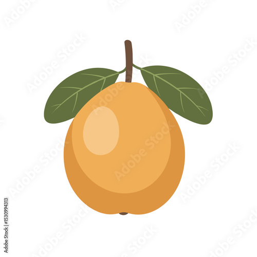 Cartoonish illustration of an orange fruit with two green leaves and a brown stem