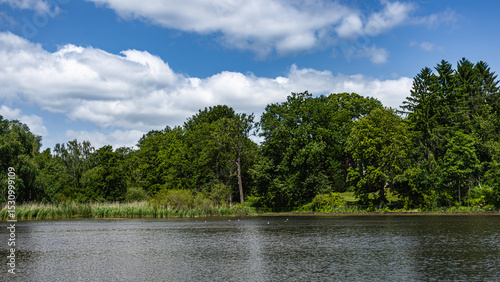 View across the mill pond