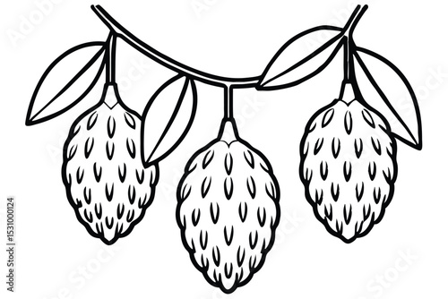 Black and white outline illustration of three hanging soursop fruits with attached leaves on a branch