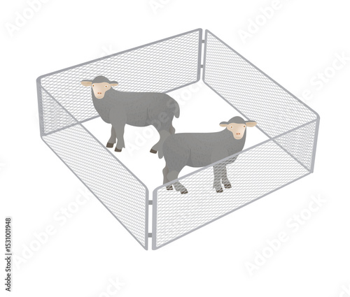 Sheep in farmland. vector illustration	