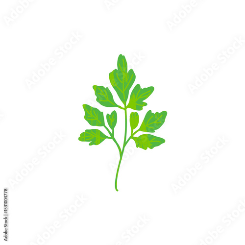 Coriander icon logo flat vector design