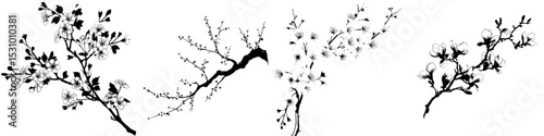 Modern illustration featuring a black branch silhouette adorned with flowers