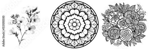 A stunning monochrome image features a black and white flower isolated, with a hand present