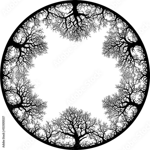 A stunning monochrome background featuring black and white seamless patterns with tree branches