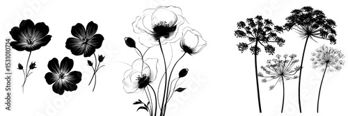 Isolated on a white background are three modern black silhouettes of flowers