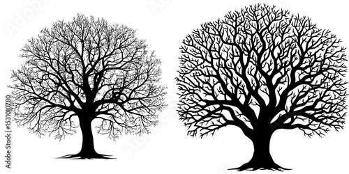 A modern graphic representation is presented, showcasing the silhouette of a black tree on a white background in a horizontal abstract wood banner