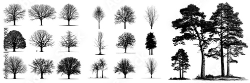 Collection of authentic contemporary tree silhouettes set against a white backdrop
