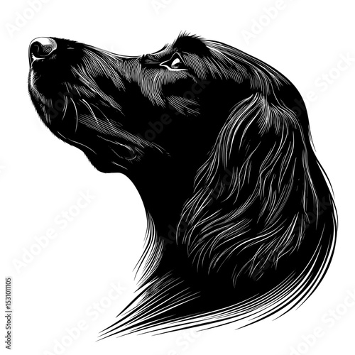 Modern black dog silhouette of a Cocker Spaniel isolated