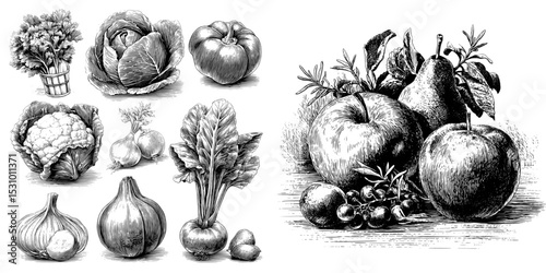 Illustration in black and white, featuring an assortment of fresh vegetables and fruits
