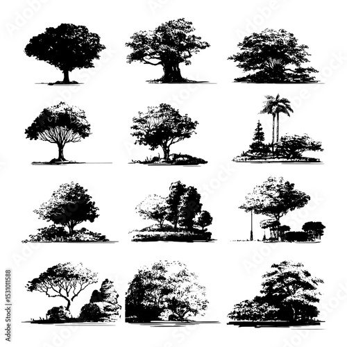 Silhouette illustrations of garden and forest plants, including flowers, set against a clean white background in a modern style
