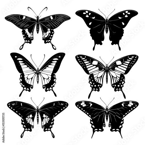 Black silhouettes of butterflies are illustrated in a modern manner, emphasizing their humorous and beautiful nature as insects with impressive wings