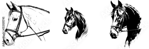 Black modern silhouette of an animal head featuring a horse with a bridle