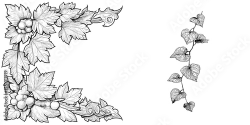Black isolated outline silhouette of elegant ivy or vine leaves, a modern design element on a white background that is editable