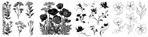 A collection of hand-drawn wildflowers, featuring outline flower and plant silhouettes, created using brush and ink painting techniques, in black on a modern white background