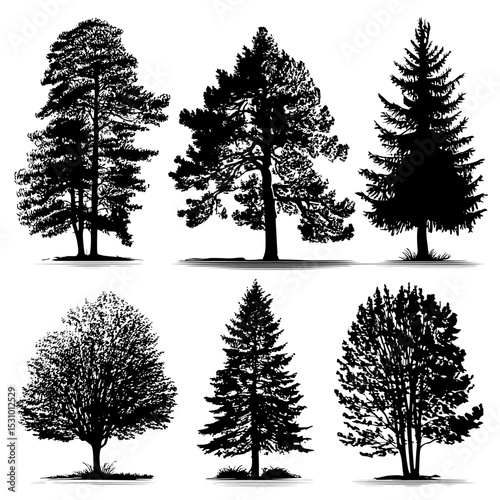 Coniferous spruce panorama featuring a set of black horizontal silhouettes of forest pine, spruce, and cedar treetops, all on a modern white background in EPS