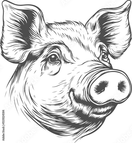 Pig face illustration on transparent background. Vector graphics