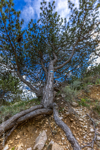 Fototapeta Naklejka Na Ścianę i Meble -  Hiking trail leading from the beach in Baska to the Bag mountain, city panorama seen from above,