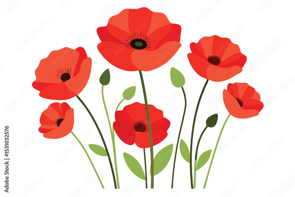 Fototapeta premium Beautiful Poppy Flowers Vector Simple Elements Illustration for Floral Artwork Clipart