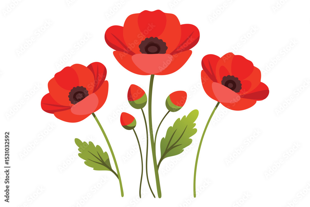 Obraz premium Beautiful Poppy Flowers Vector Simple Elements Illustration for Floral Artwork Clipart