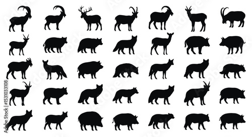 Exploring Silhouettes An Artistic Collection of Wild Mammals in Varied Poses and Shapes