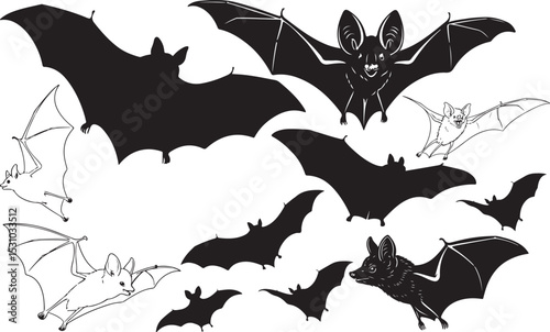 Bat Silhouettes Vector Pack