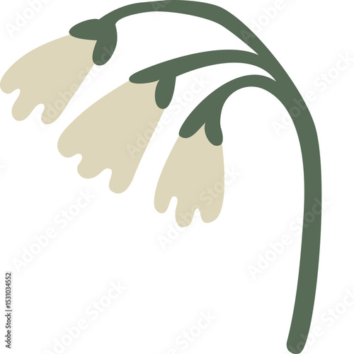 Lily of The Valley Flower