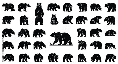 Exploring the Diverse World of Bears: A Comprehensive Look at Different Species