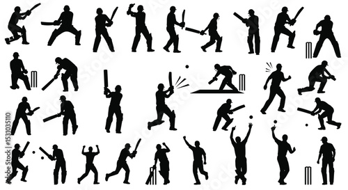 Detailed Guide To Understanding The Wonderful World Of Cricket With Full Explanations