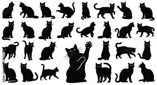 The Diverse World of Feline Silhouettes A Study in Black Cat Designs