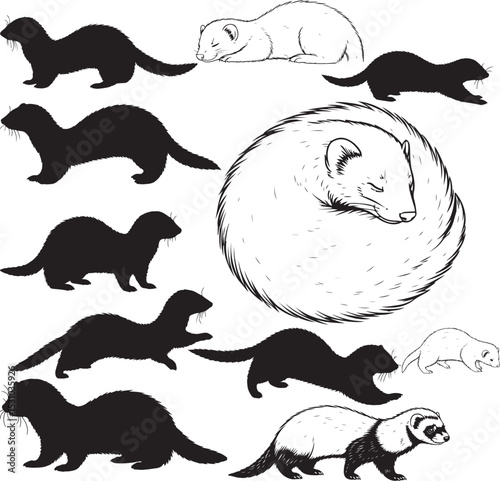 Ferret Silhouettes – Solid Black & Outline Vector Set