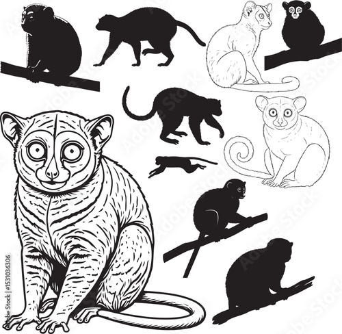 Galago Silhouettes – Solid Black & Outline Vector Set