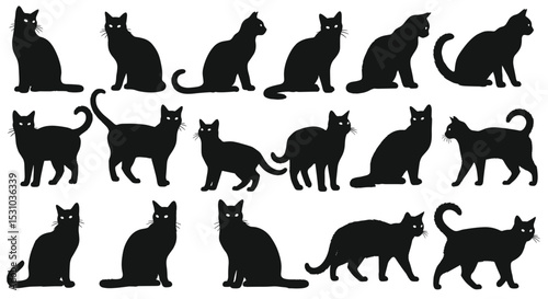 Unveiling the Mystique of Black Cats Through a Visual Journey of Silhouettes