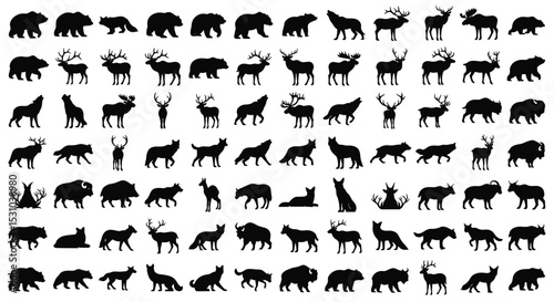 Exploring North American Wildlife A Deep Dive into the Continent's Magnificent Fauna