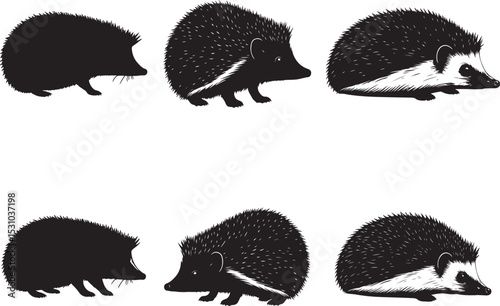 Hedgehog Silhouettes – Solid Black & Outline Vector Set