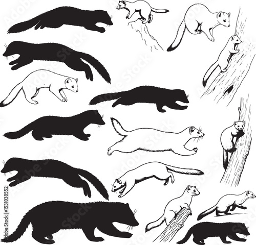 Marten Silhouettes – Solid Black & Outline Vector Set