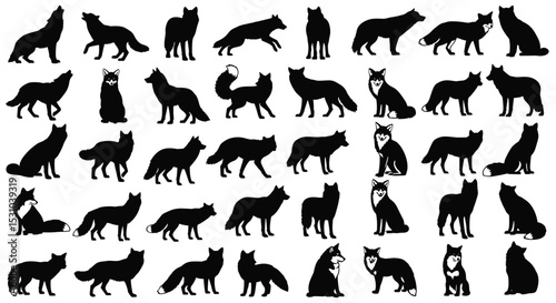 Collection of Silhouetted Canidae Represents a Diverse Group of Foxes Wolves and Dogs