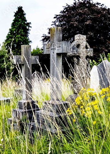 A cemetery with several stone crosses and headstones, overgrown with grass and wildflowers.