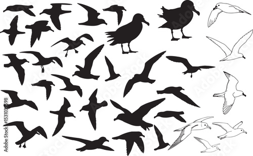 Petrel Silhouettes – Solid Black & Outline Vector Set