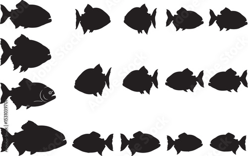 Piranha Silhouettes – Solid Black & Outline Vector Set