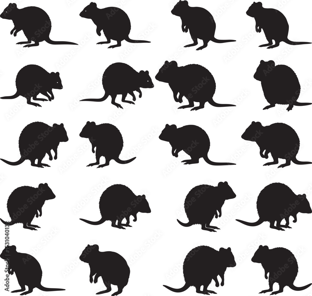 Fototapeta premium Quokka Silhouettes – Solid Black & Outline Vector Set