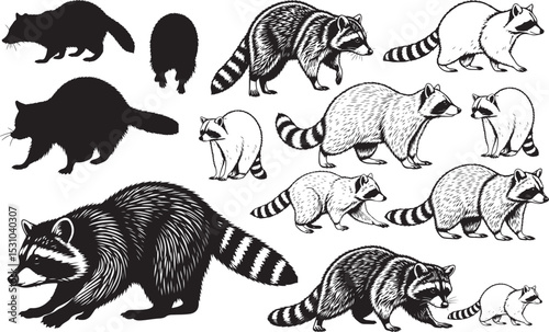 Raccoon Silhouettes – Solid Black & Outline Vector Set