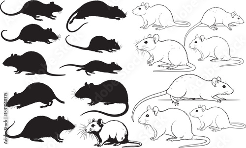 Rat Silhouettes – Solid Black & Outline Vector Set