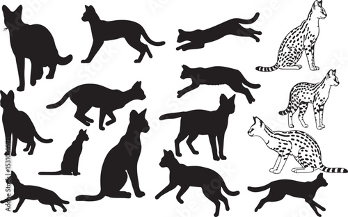Serval Silhouettes – Solid Black & Outline Vector Set