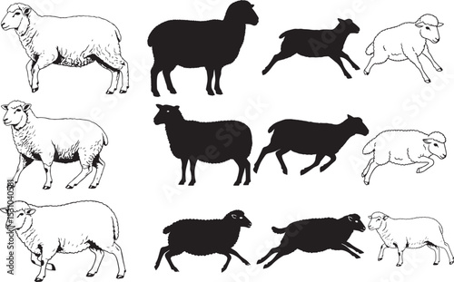 Sheep Silhouettes – Solid Black & Outline Vector Set