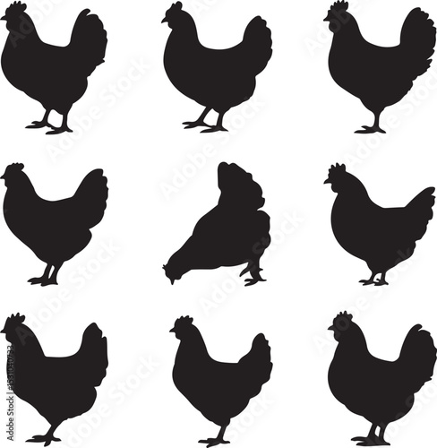 set of chicken