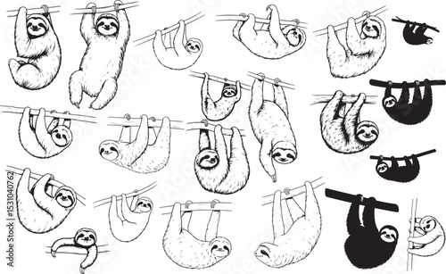 Sloth Silhouettes – Solid Black & Outline Vector Set